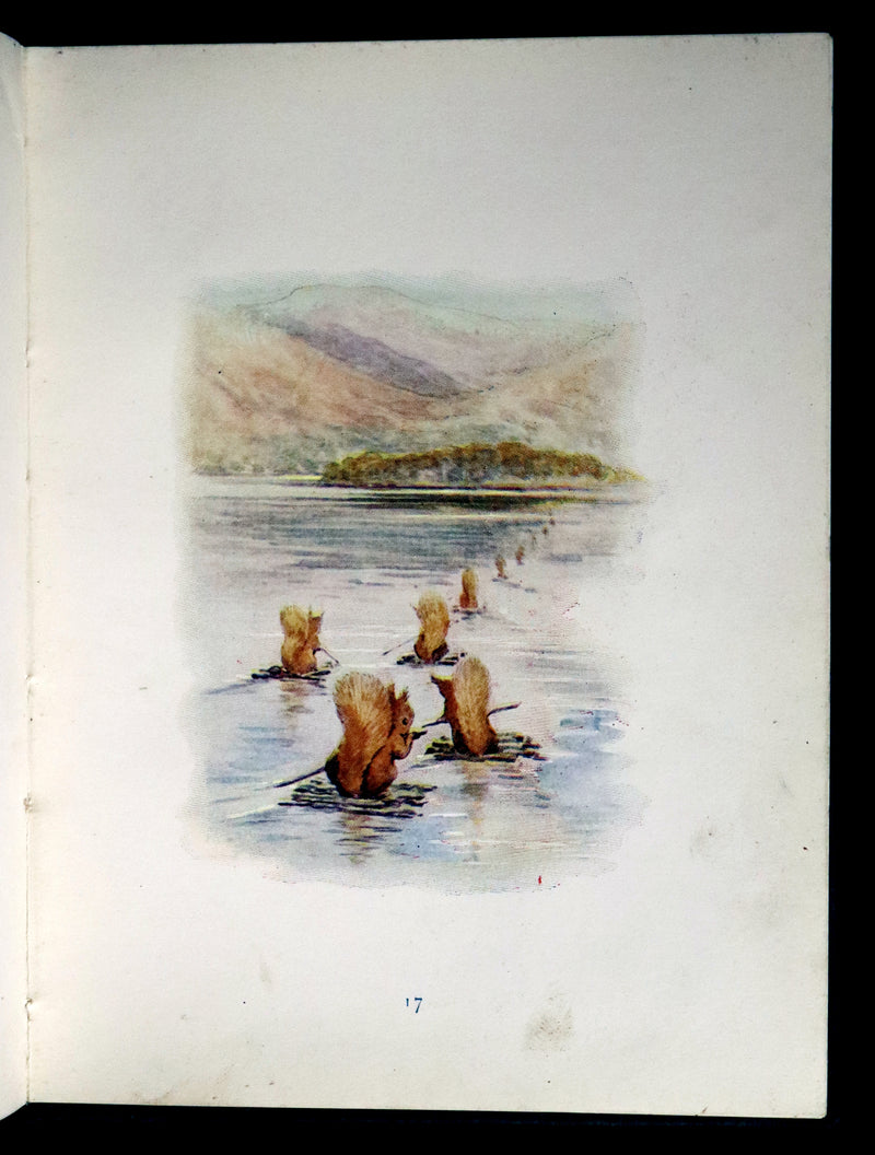 1903 Rare Book - Beatrix Potter - The Tale of Squirrel Nutkin - First Edition, third printing.