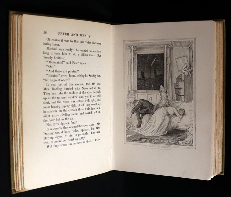 1911 Rare PETER PAN First Edition - PETER and WENDY by J.M. Barrie illustrated by F.D. Bedford.