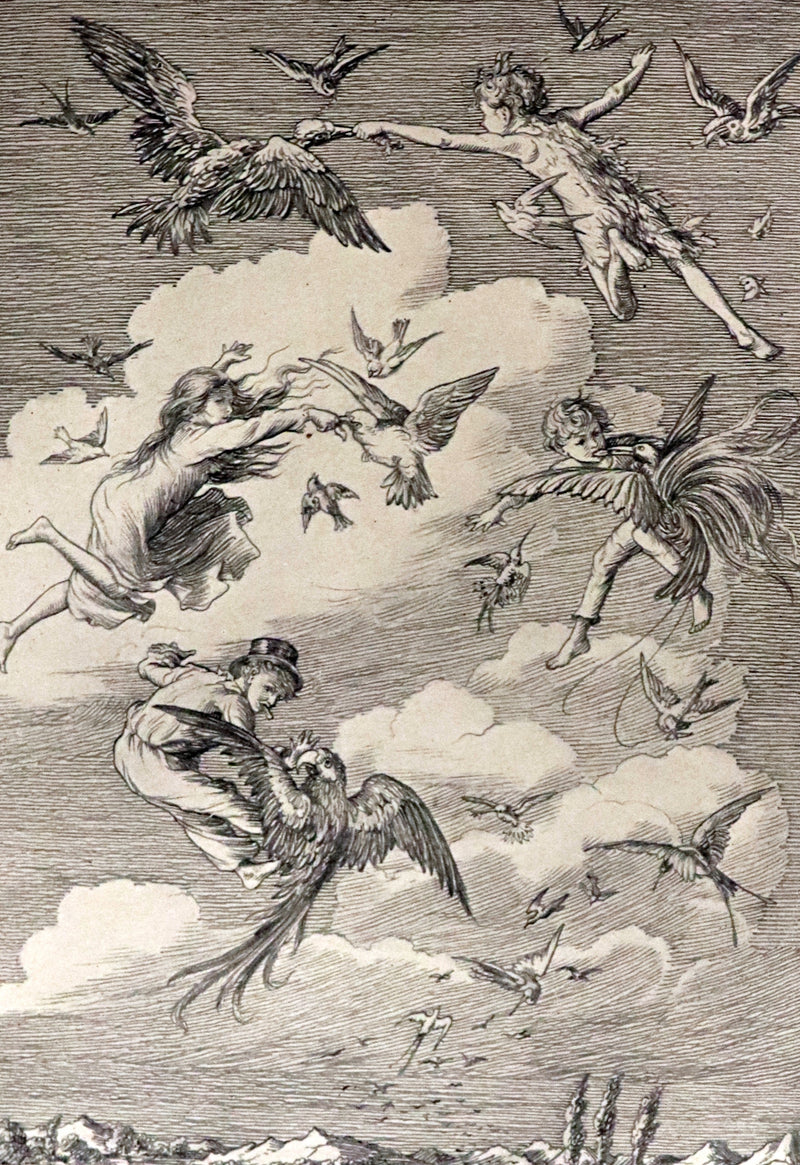 1911 Rare PETER PAN First Edition - PETER and WENDY by J.M. Barrie illustrated by F.D. Bedford.