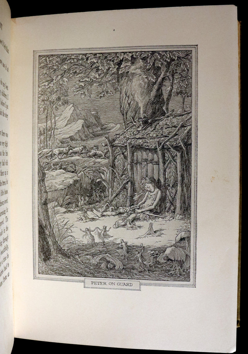 1911 Rare PETER PAN First Edition - PETER and WENDY by J.M. Barrie illustrated by F.D. Bedford.
