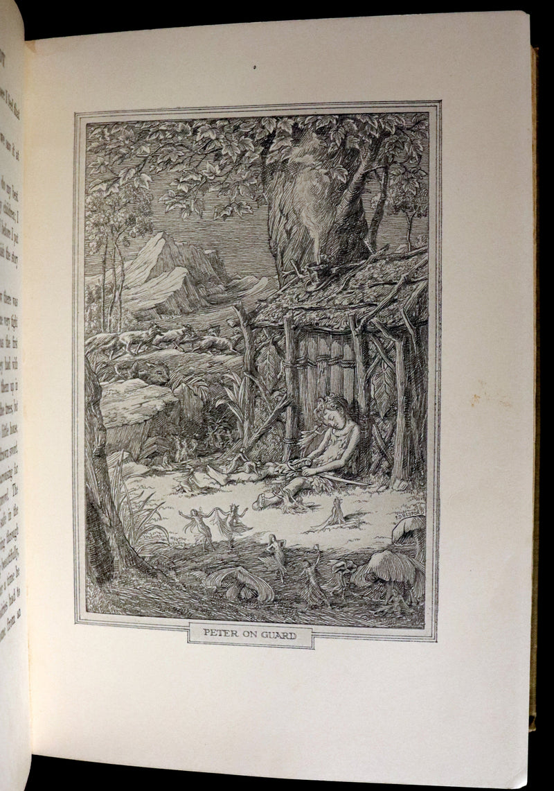 1911 Rare PETER PAN First Edition - PETER and WENDY by J.M. Barrie illustrated by F.D. Bedford.