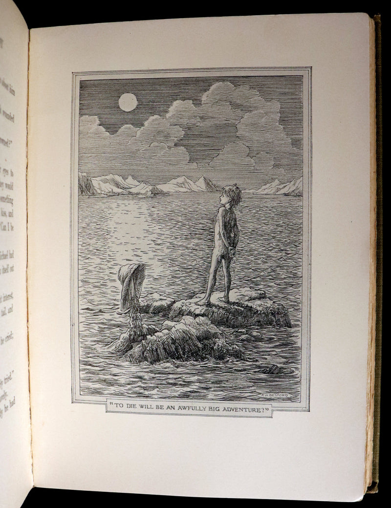 1911 Rare PETER PAN First Edition - PETER and WENDY by J.M. Barrie illustrated by F.D. Bedford.