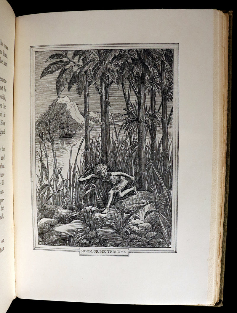 1911 Rare PETER PAN First Edition - PETER and WENDY by J.M. Barrie illustrated by F.D. Bedford.
