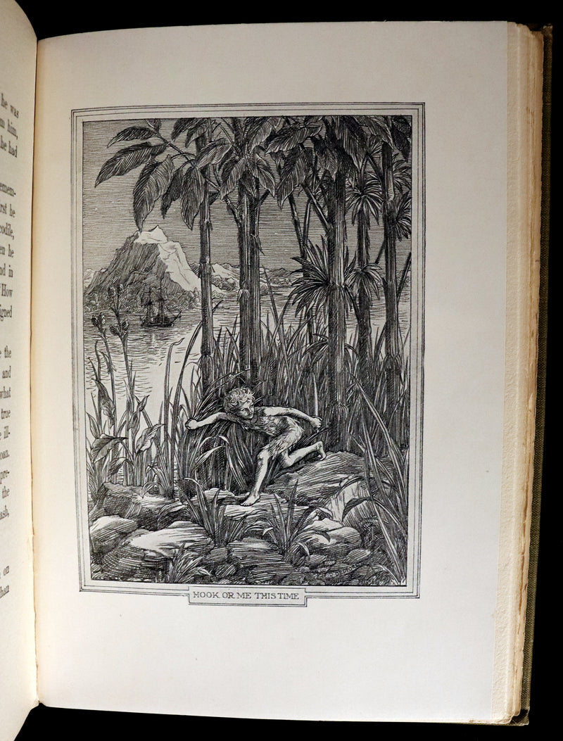 1911 Rare PETER PAN First Edition - PETER and WENDY by J.M. Barrie illustrated by F.D. Bedford.