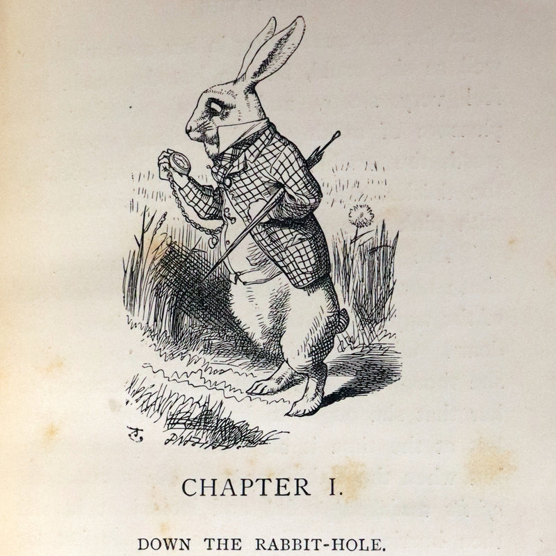 1896 Rare Victorian Book - Alice's Adventures in Wonderland by Lewis Carroll illustrated by John Tenniel.