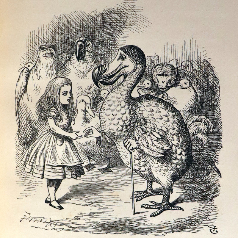 1896 Rare Victorian Book - Alice's Adventures in Wonderland by Lewis Carroll illustrated by John Tenniel.
