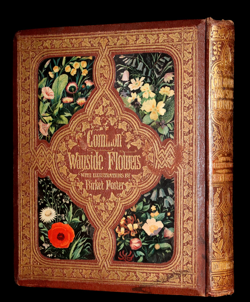 1860 Rare First Edition - Common Wayside Flowers by Thomas Miller & Color Illustrated by Birket Foster.