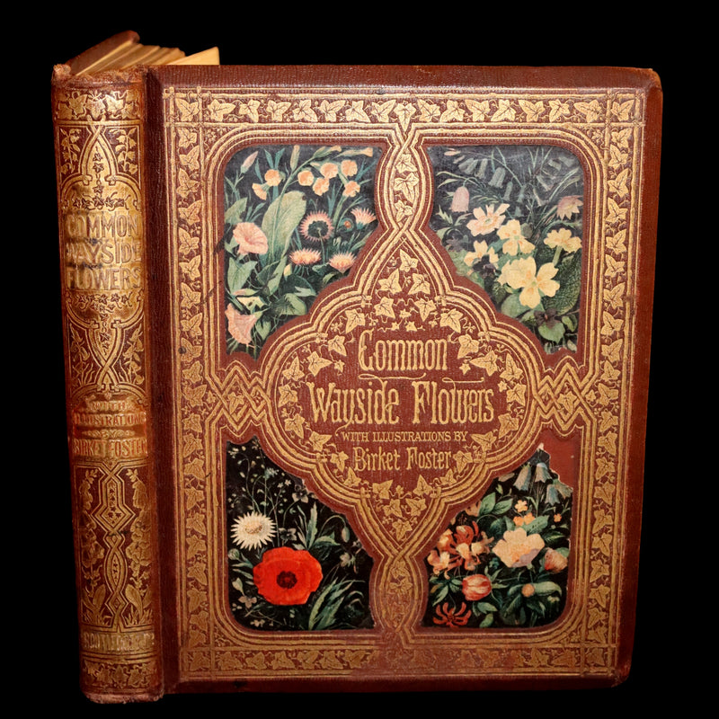1860 Rare First Edition - Common Wayside Flowers by Thomas Miller & Color Illustrated by Birket Foster.