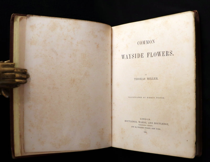 1860 Rare First Edition - Common Wayside Flowers by Thomas Miller & Color Illustrated by Birket Foster.