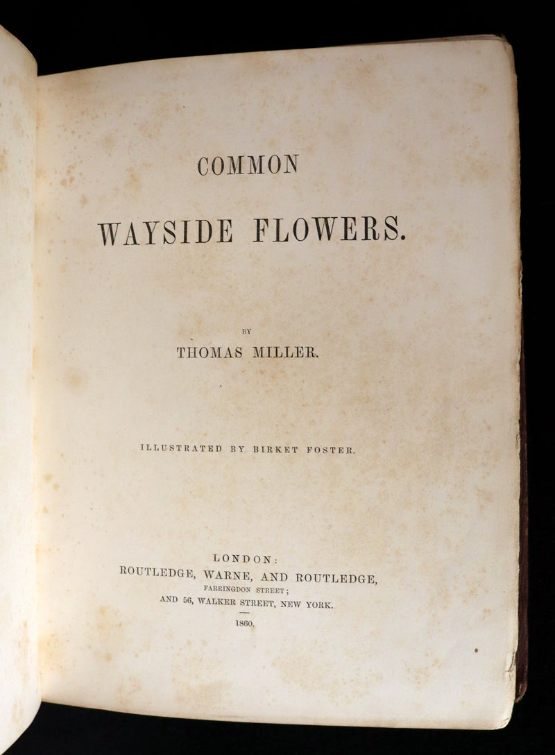 1860 Rare First Edition - Common Wayside Flowers by Thomas Miller & Color Illustrated by Birket Foster.
