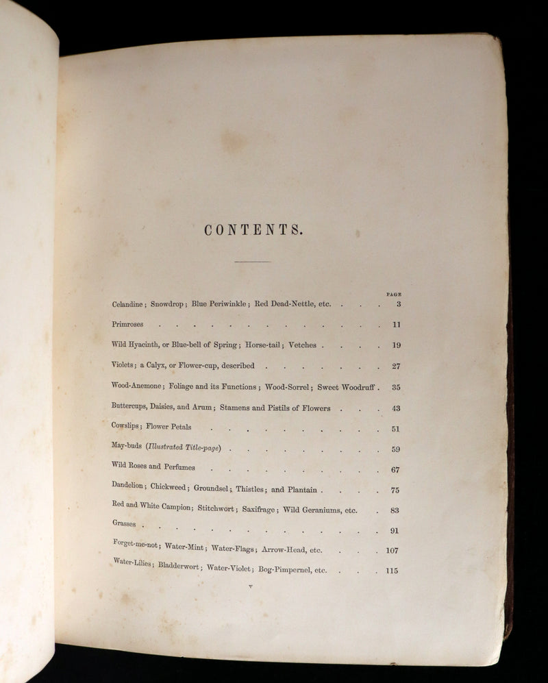 1860 Rare First Edition - Common Wayside Flowers by Thomas Miller & Color Illustrated by Birket Foster.