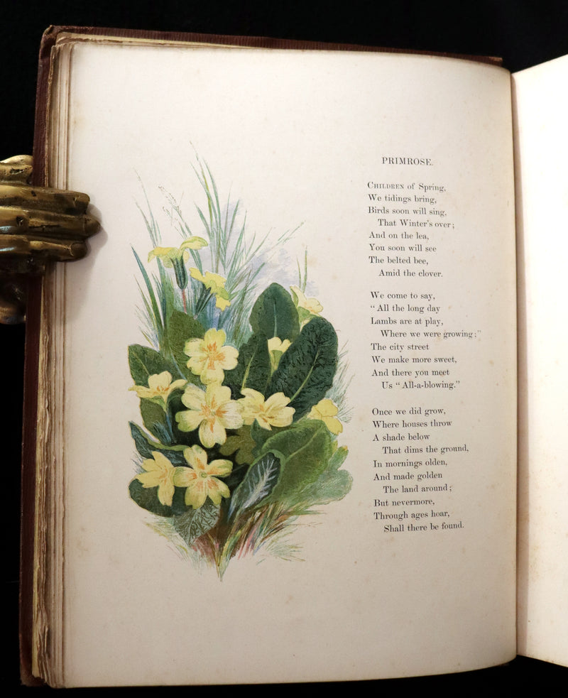 1860 Rare First Edition - Common Wayside Flowers by Thomas Miller & Color Illustrated by Birket Foster.