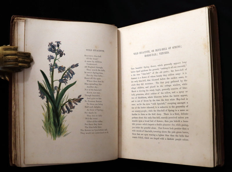 1860 Rare First Edition - Common Wayside Flowers by Thomas Miller & Color Illustrated by Birket Foster.