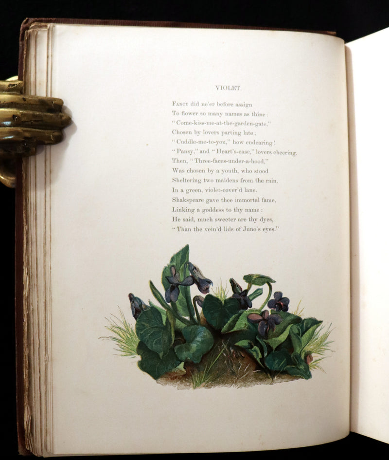 1860 Rare First Edition - Common Wayside Flowers by Thomas Miller & Color Illustrated by Birket Foster.