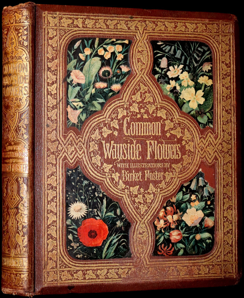 1860 Rare First Edition - Common Wayside Flowers by Thomas Miller & Color Illustrated by Birket Foster.