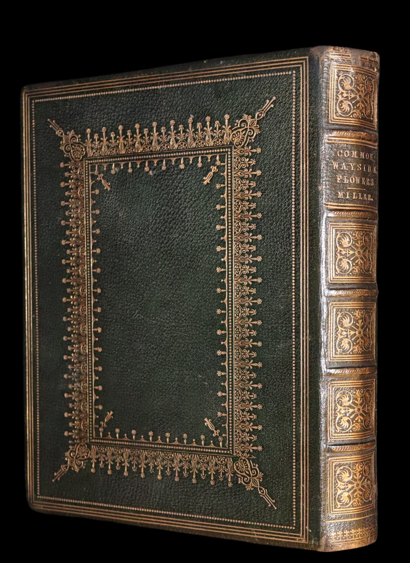 1860 Rare First Edition - Common Wayside Flowers by Thomas Miller & Color Illustrated by Birket Foster.