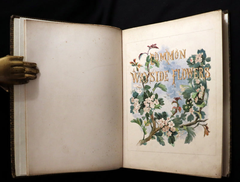 1860 Rare First Edition - Common Wayside Flowers by Thomas Miller & Color Illustrated by Birket Foster.