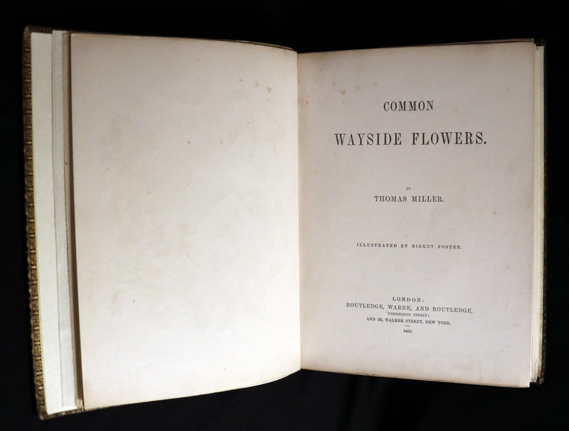1860 Rare First Edition - Common Wayside Flowers by Thomas Miller & Color Illustrated by Birket Foster.