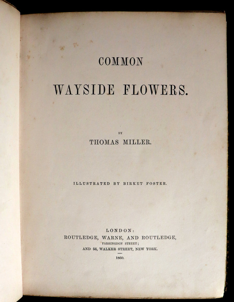 1860 Rare First Edition - Common Wayside Flowers by Thomas Miller & Color Illustrated by Birket Foster.