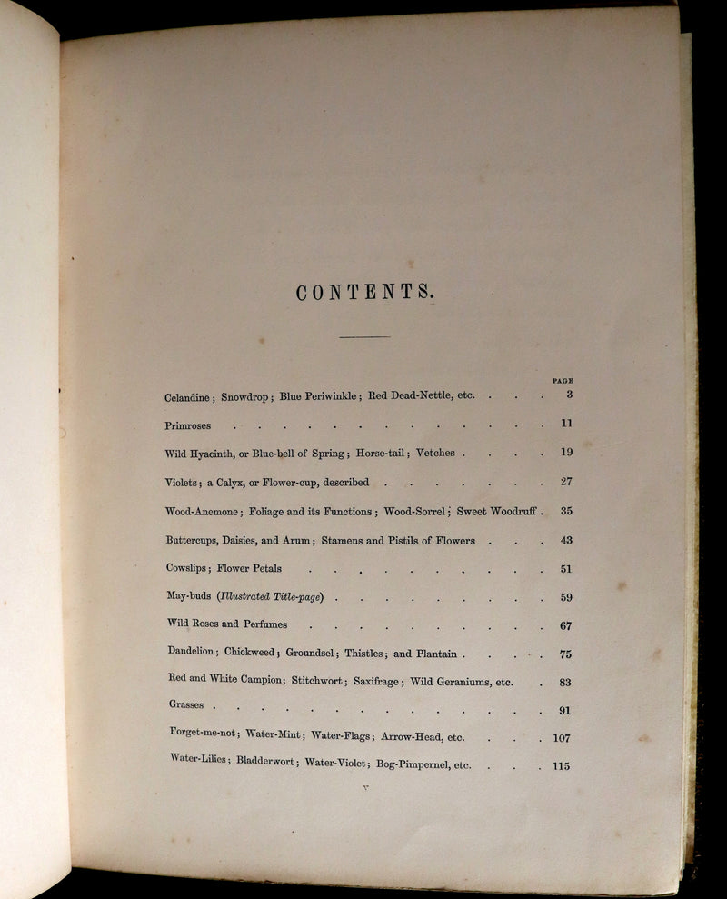 1860 Rare First Edition - Common Wayside Flowers by Thomas Miller & Color Illustrated by Birket Foster.