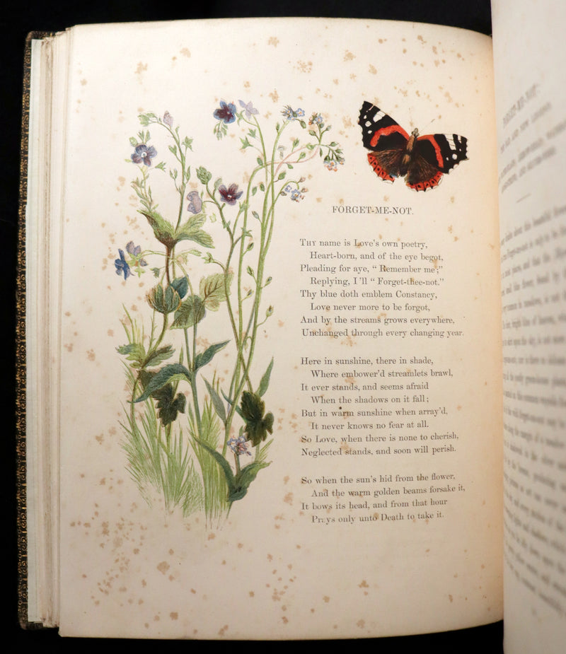 1860 Rare First Edition - Common Wayside Flowers by Thomas Miller & Color Illustrated by Birket Foster.
