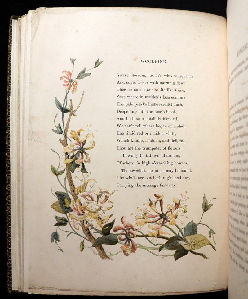 1860 Rare First Edition - Common Wayside Flowers by Thomas Miller & Color Illustrated by Birket Foster.