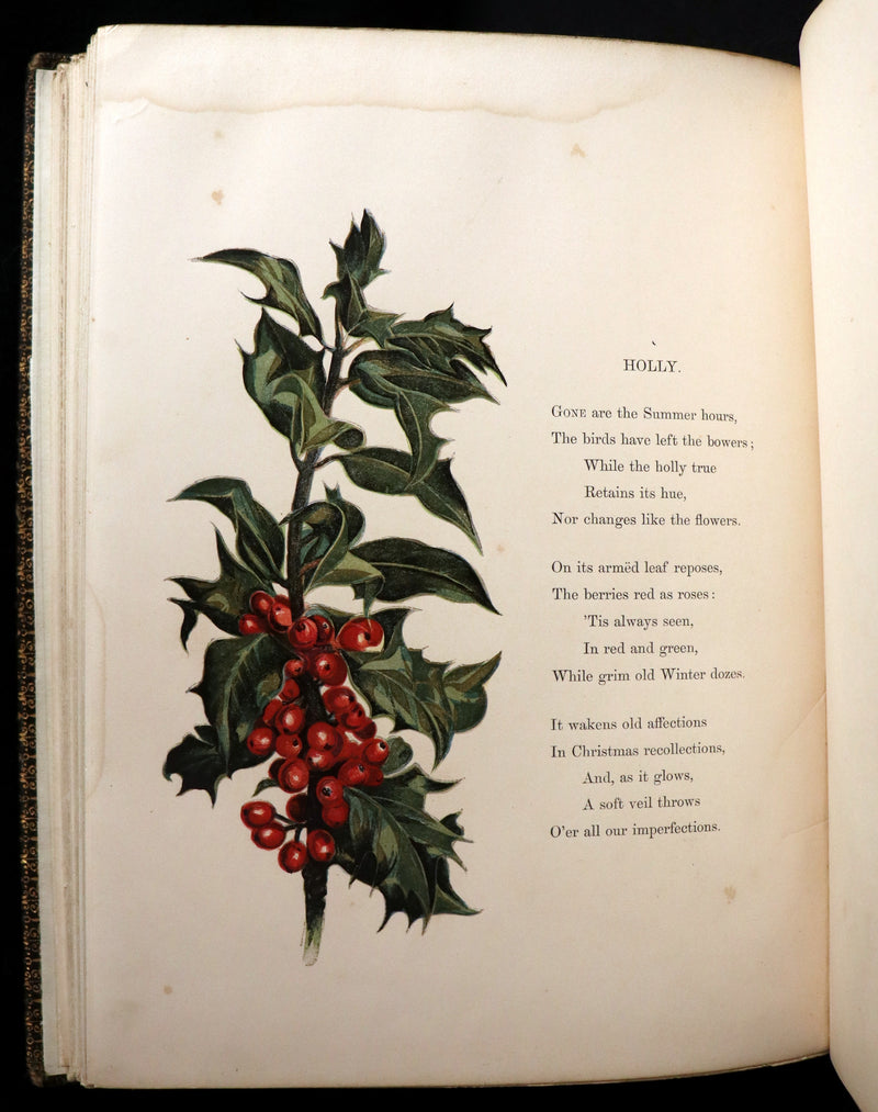 1860 Rare First Edition - Common Wayside Flowers by Thomas Miller & Color Illustrated by Birket Foster.