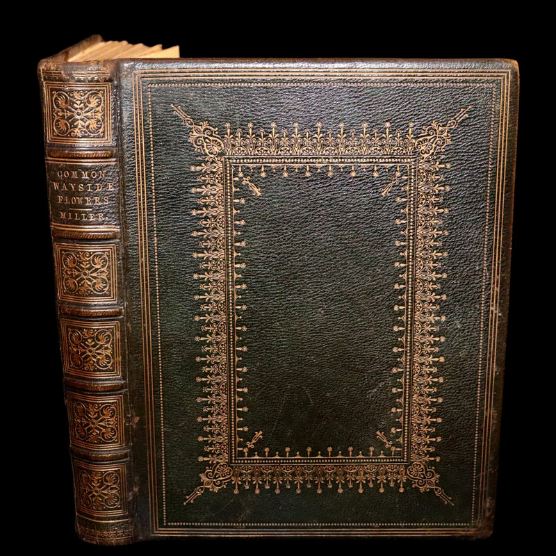 1860 Rare First Edition - Common Wayside Flowers by Thomas Miller & Color Illustrated by Birket Foster.