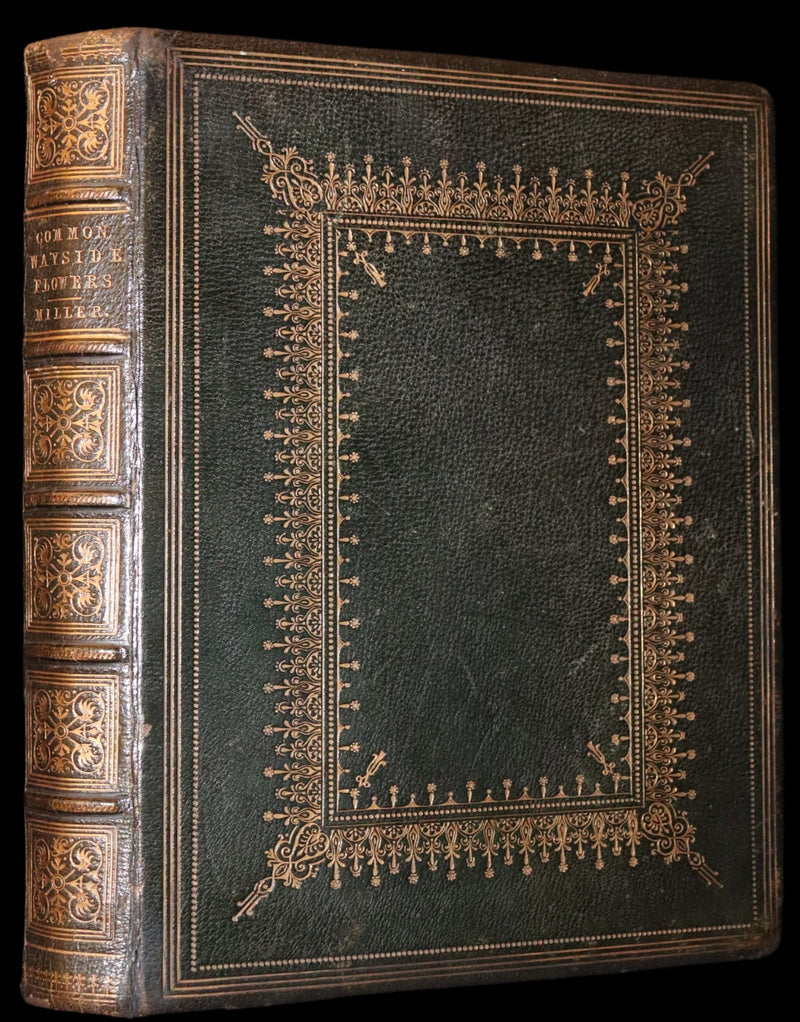 1860 Rare First Edition - Common Wayside Flowers by Thomas Miller & Color Illustrated by Birket Foster.