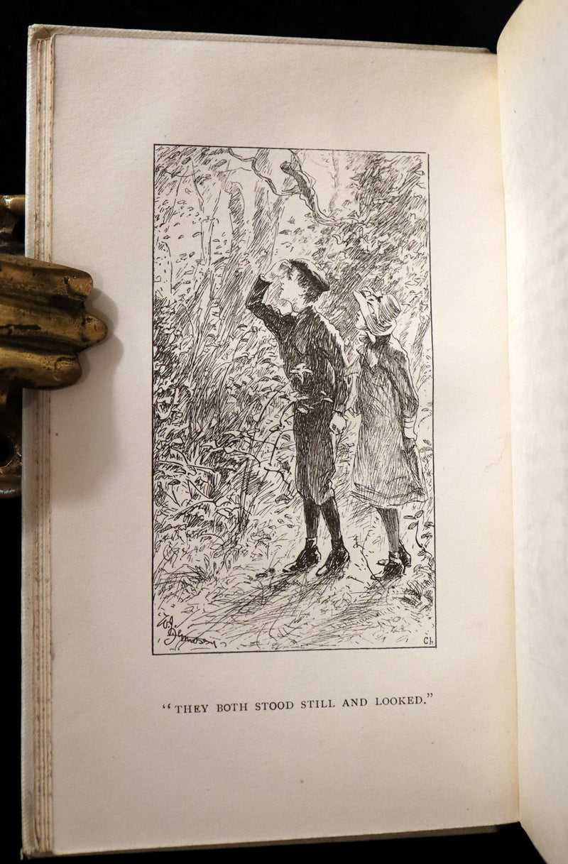 1892 Rare First Edition - AN ENCHANTED GARDEN, Fairy Stories by Mary Louisa Molesworth illustrated by William John Hennessy.