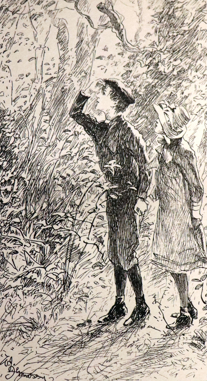 1892 Rare First Edition - AN ENCHANTED GARDEN, Fairy Stories by Mary Louisa Molesworth illustrated by William John Hennessy.