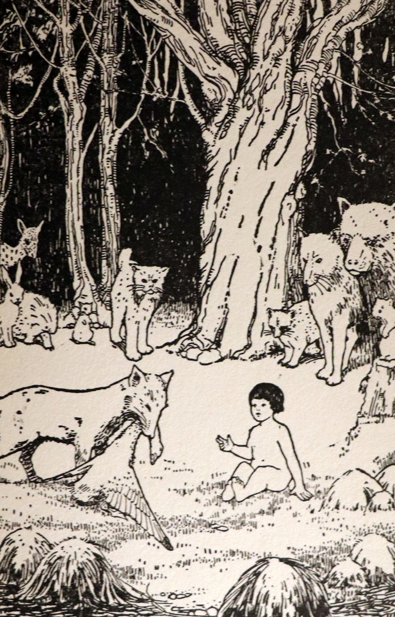 1917 Scarce Iroquois & Algonquin legends of the Great Lakes - The Boy Who Went to the East and other Indian Fairy Tales.