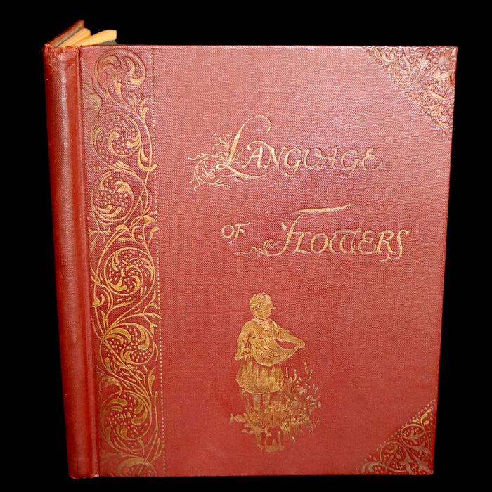 1890 Scarce Victorian Floriography Book ~ The Language of Flowers by Ernest Nister.