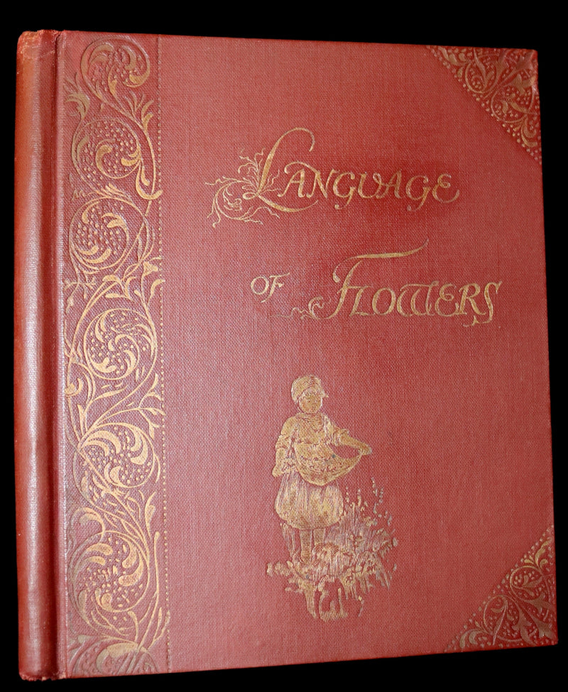 1890 Scarce Victorian Floriography Book ~ The Language of Flowers by Ernest Nister.