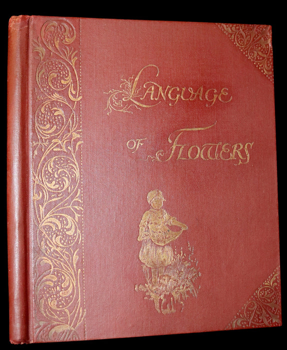 1890 Scarce Victorian Floriography Book ~ The Language of Flowers by Ernest Nister.