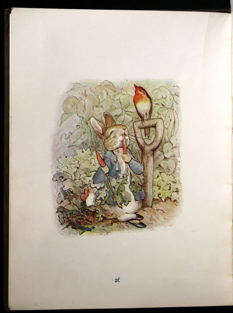1904 Rare Early Printing - THE TALE OF PETER RABBIT illustrated by Beatrix Potter.