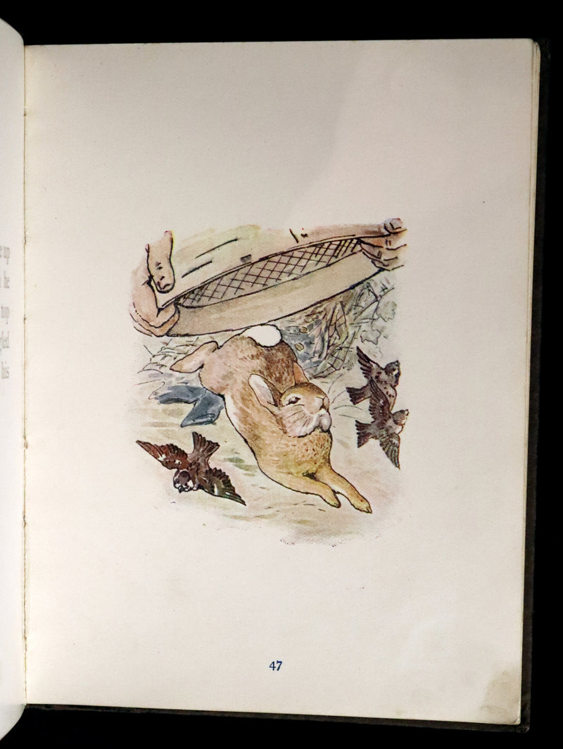 1904 Rare Early Printing - THE TALE OF PETER RABBIT illustrated by Beatrix Potter.