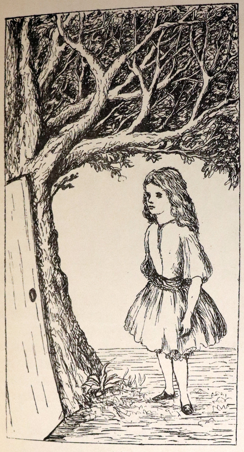 1886 Rare First Edition - Alice's Adventures Under Ground illustrated by Lewis Carroll.
