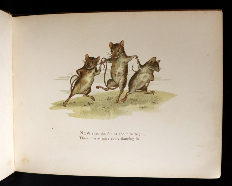 1887 Rare First Edition ~ BUBBLES A children's picture book with descriptive verses by A. M. Lockyer.