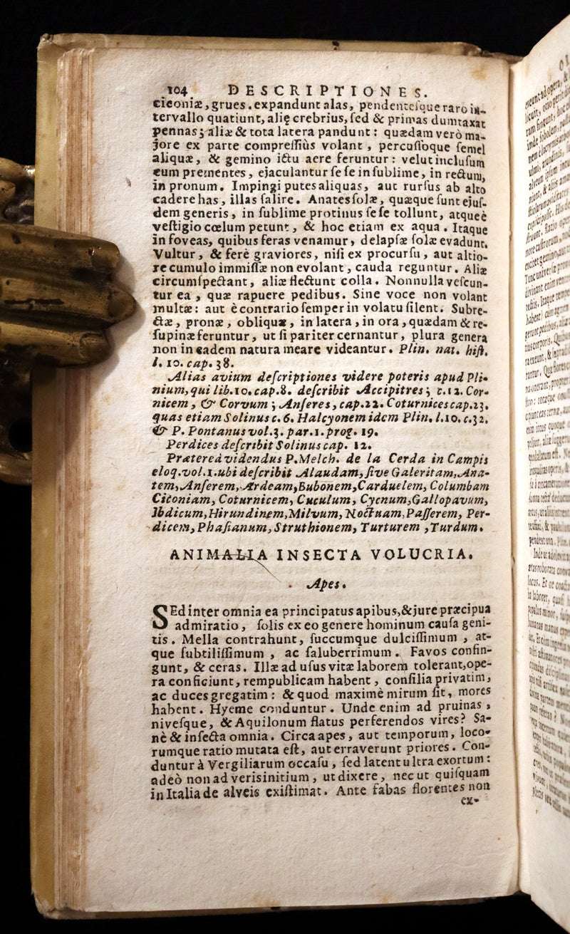 1726 Scarce Latin Vellum Book - Descriptiones Oratoriae ex probatissimis auctoribus excerptae by Gandutius Ioannes Baptista.