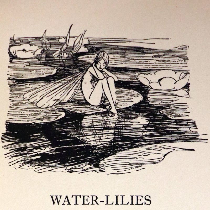 1956 Beautiful binding - When We Were Very Young by A. A. Milne & Ernest H. Shepard.