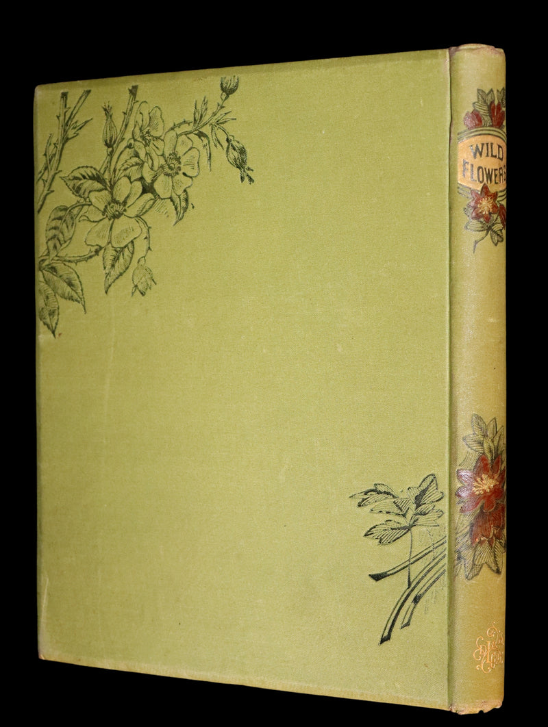 1882 Rare First Edition - Wild Flowers and Where They Grow Illustrated by Elizabeth Bullock Humphrey.