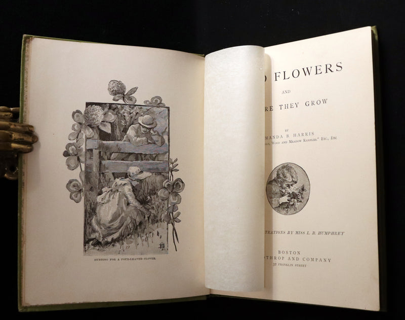 1882 Rare First Edition - Wild Flowers and Where They Grow Illustrated by Elizabeth Bullock Humphrey.
