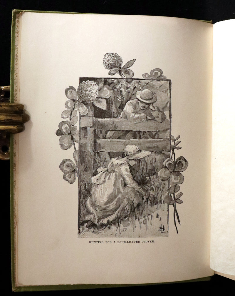 1882 Rare First Edition - Wild Flowers and Where They Grow Illustrated by Elizabeth Bullock Humphrey.