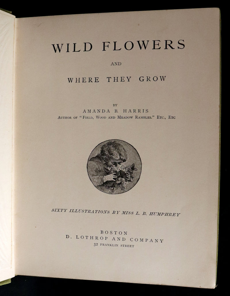 1882 Rare First Edition - Wild Flowers and Where They Grow Illustrated by Elizabeth Bullock Humphrey.