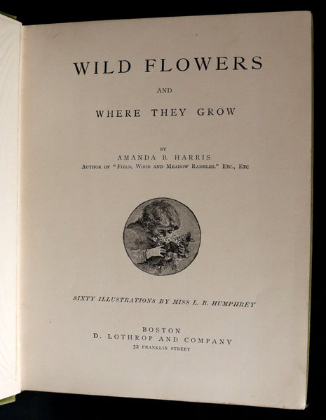 1882 Rare First Edition - Wild Flowers and Where They Grow Illustrated by Elizabeth Bullock Humphrey.