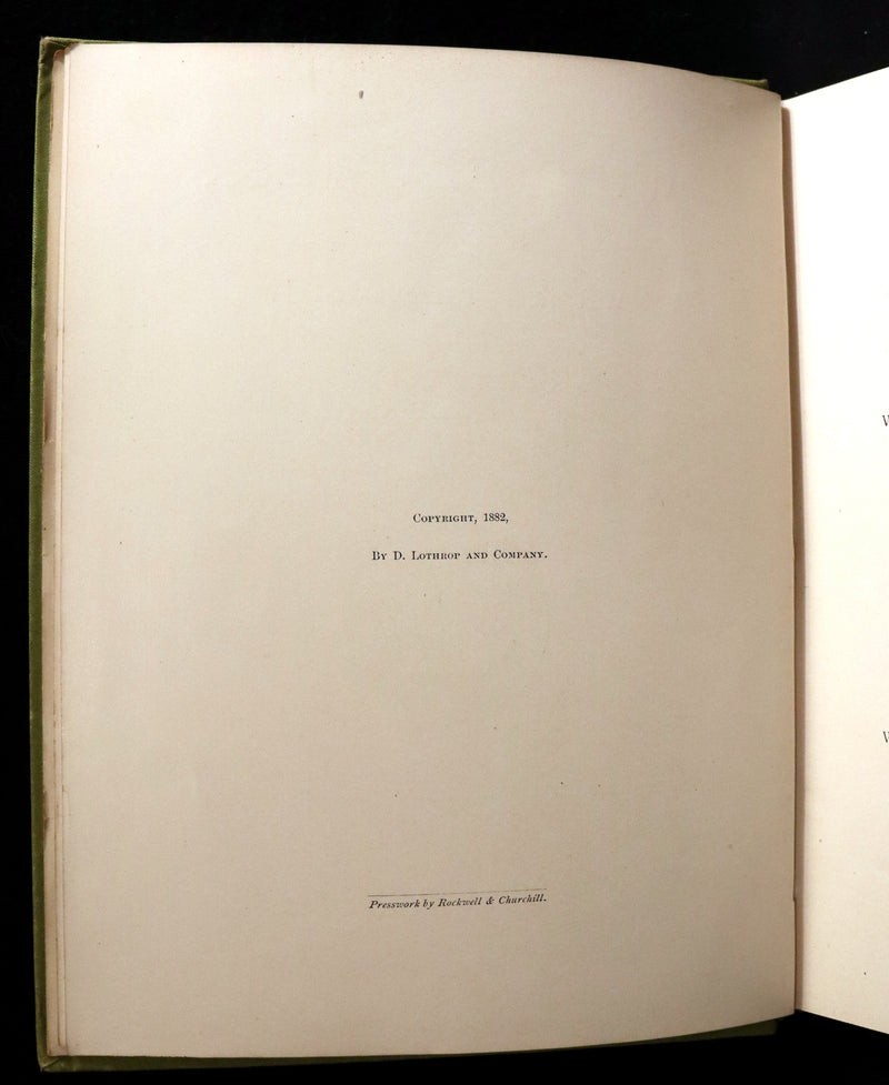 1882 Rare First Edition - Wild Flowers and Where They Grow Illustrated by Elizabeth Bullock Humphrey.
