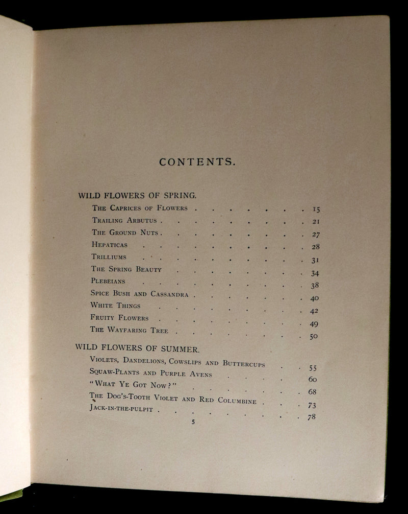 1882 Rare First Edition - Wild Flowers and Where They Grow Illustrated by Elizabeth Bullock Humphrey.