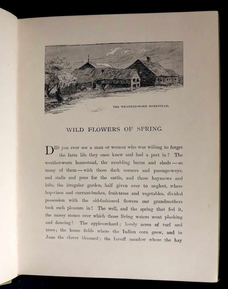 1882 Rare First Edition - Wild Flowers and Where They Grow Illustrated by Elizabeth Bullock Humphrey.