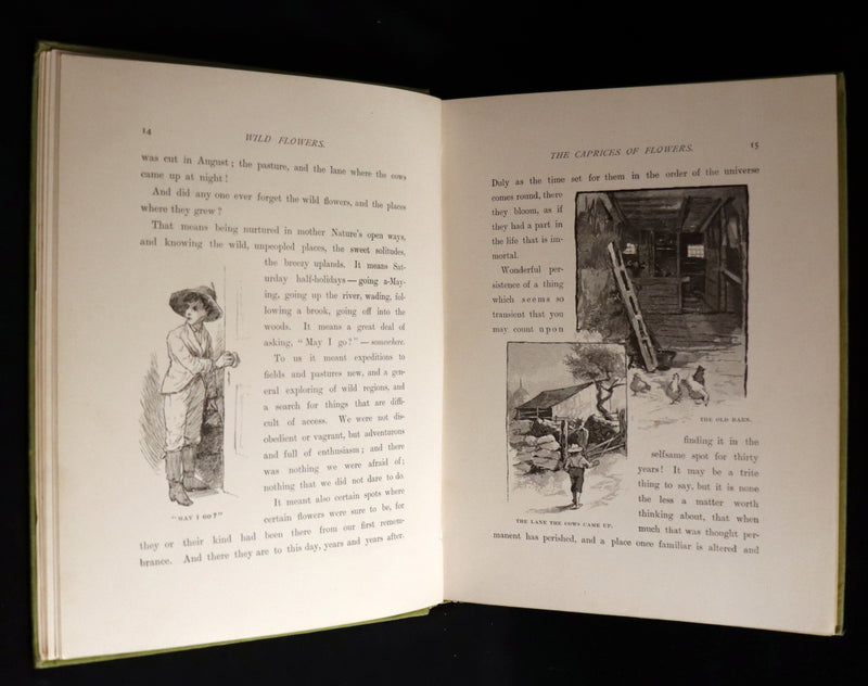 1882 Rare First Edition - Wild Flowers and Where They Grow Illustrated by Elizabeth Bullock Humphrey.